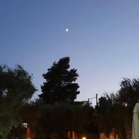 Ombra Degli Ulivi